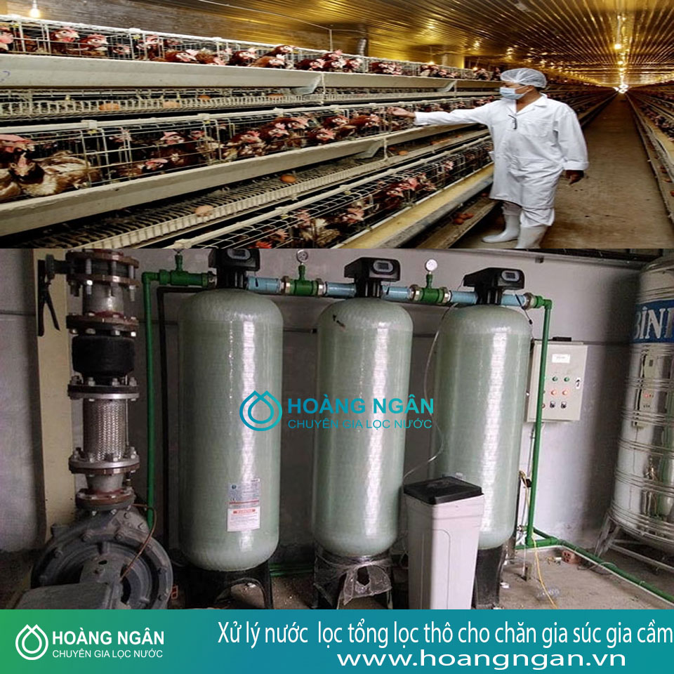 Hệ thống lọc tổng lọc thô cho chăn gia súc gia cầm Hệ thống lọc tổng lọc thô cho chăn gia súc gia cầm