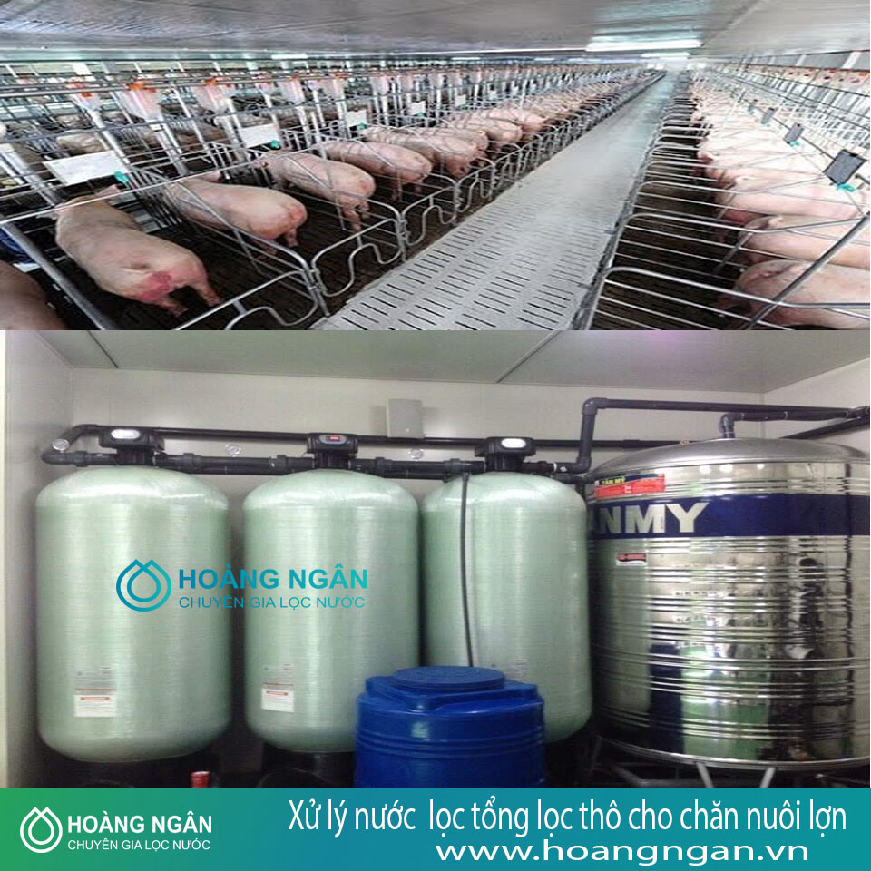 Hệ thống lọc tổng lọc thô cho chăn nuôi lợn Hệ thống lọc tổng lọc thô cho chăn nuôi lợn