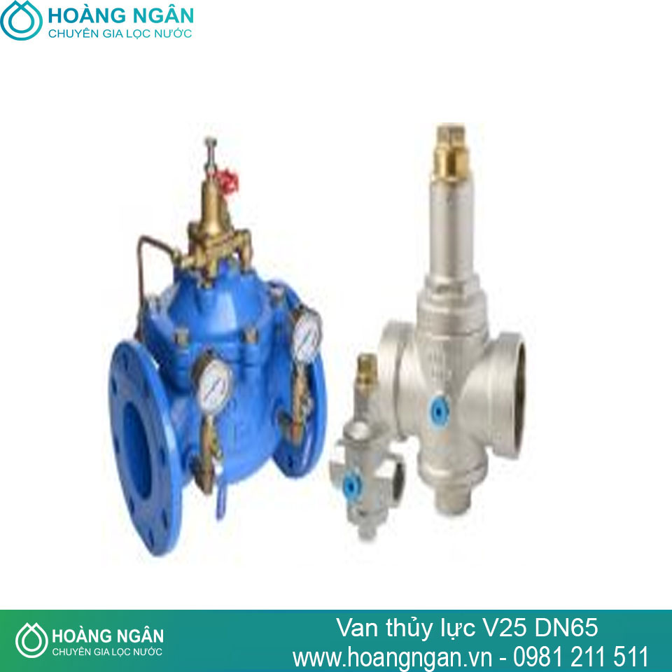 Van thủy lực V25 DN65