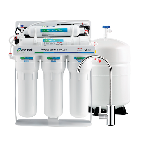 Máy lọc nước Ro Ecosoft có máy bơm Máy lọc nước Ro Ecosoft có máy bơm