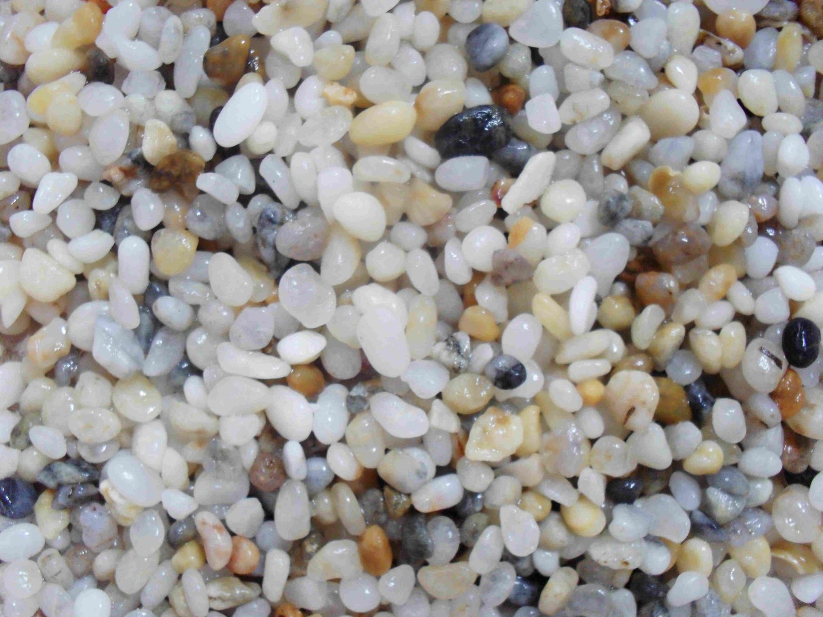 Sỏ lọc nước kích thước 2.0 - 3.5 mm Sỏ lọc nước kích thước 2.0 - 3.5 mm